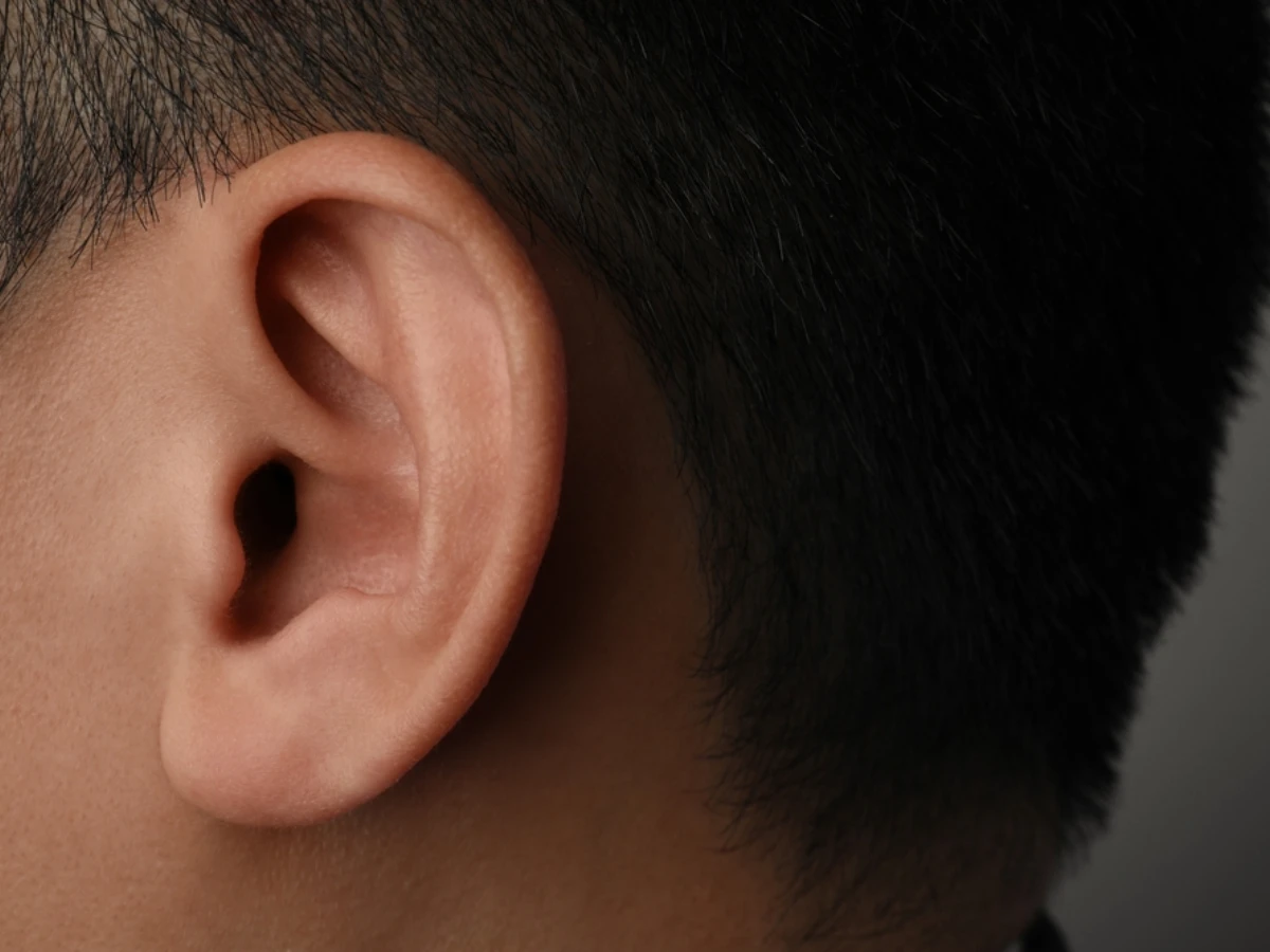 男人性能力面相特徵3.耳朵大而肥厚