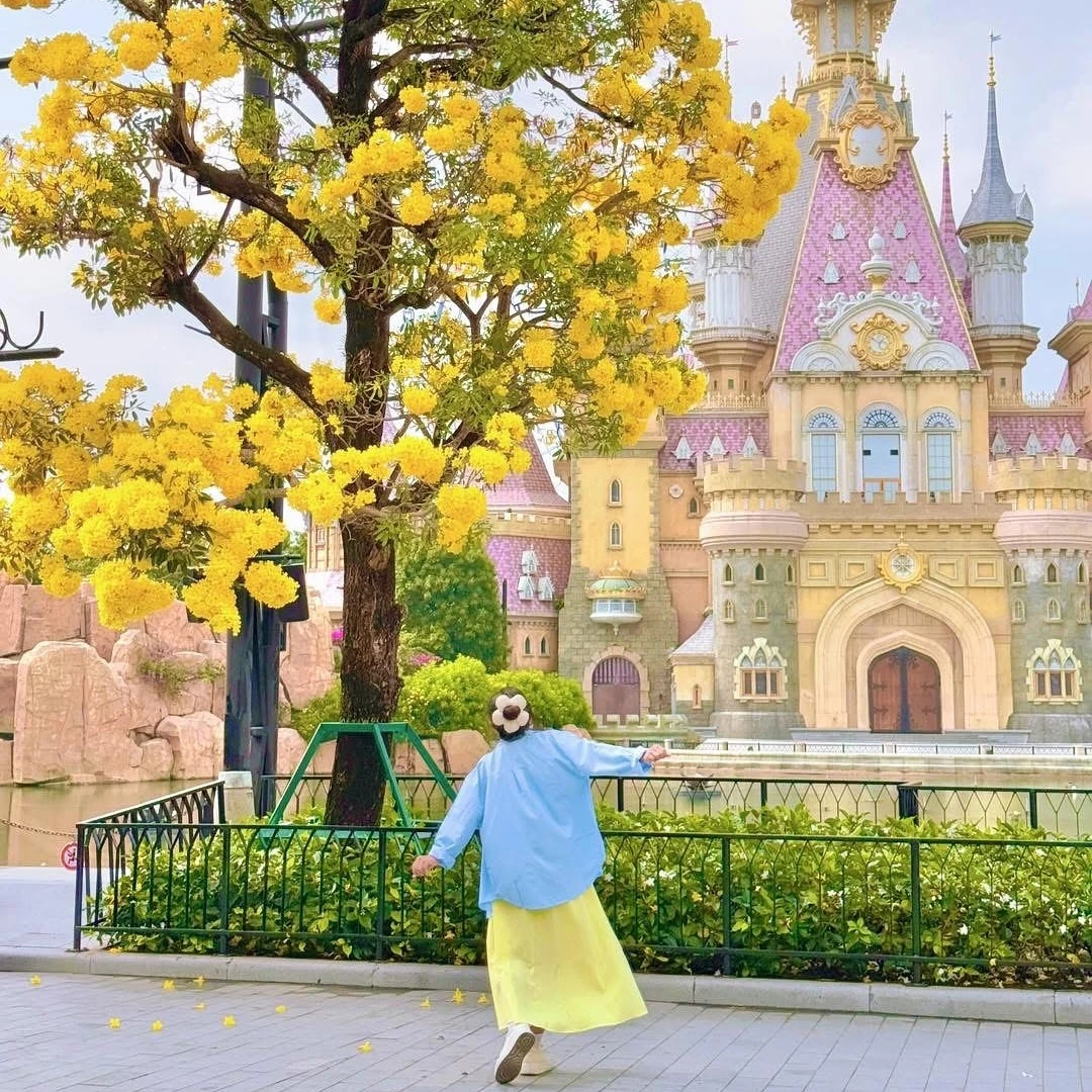 2025富國島全攻略！富國島必訪景點TOP10，住宿、交通、美食懶人包一次看