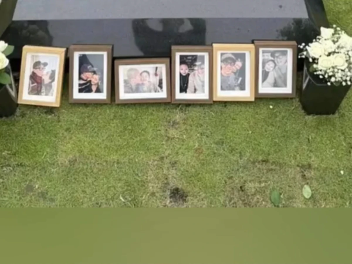 粉絲痛批龍正「吃人血饅頭」