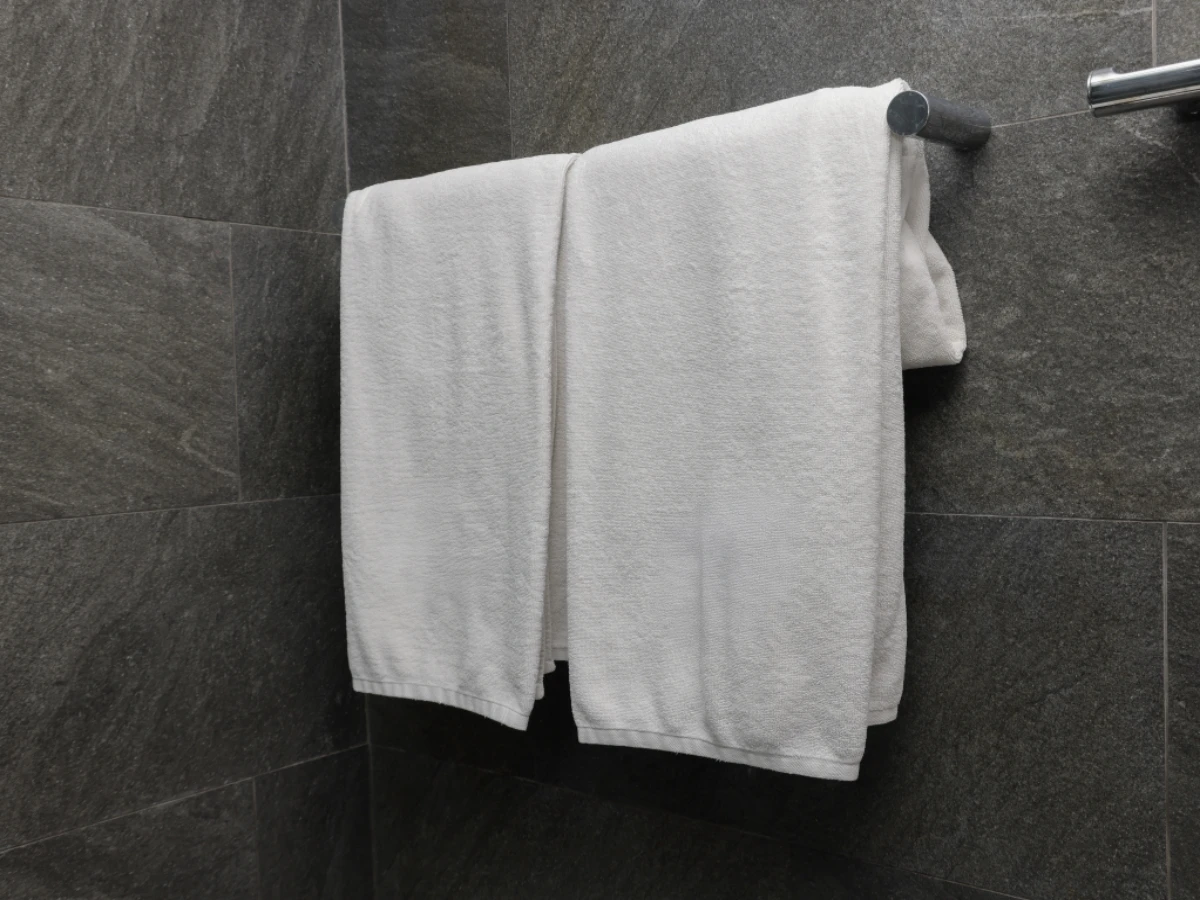 shutterstock_2591992247