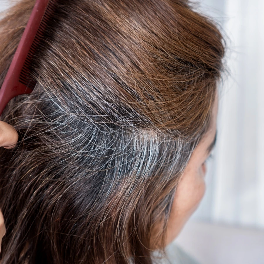 shutterstock_2550628337