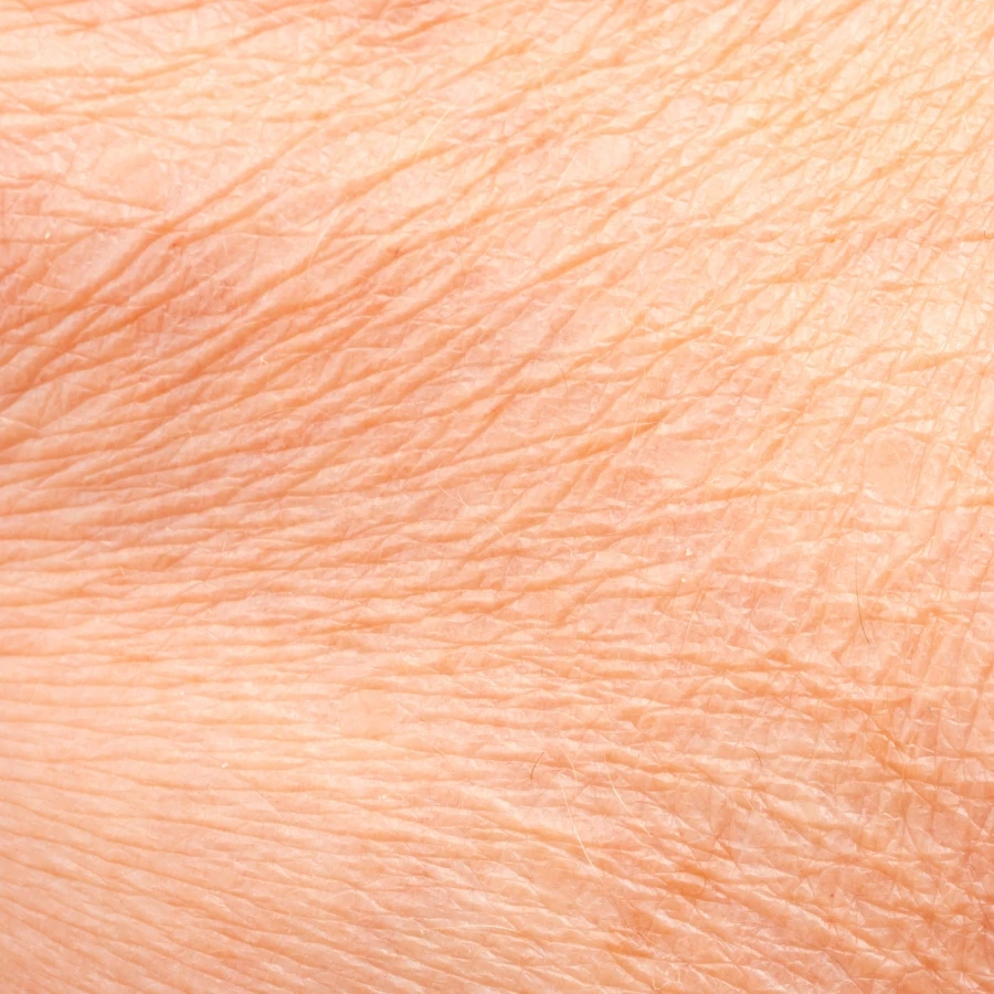 shutterstock_2606608215