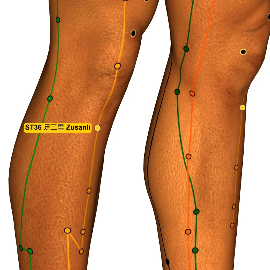 shutterstock_1066649117