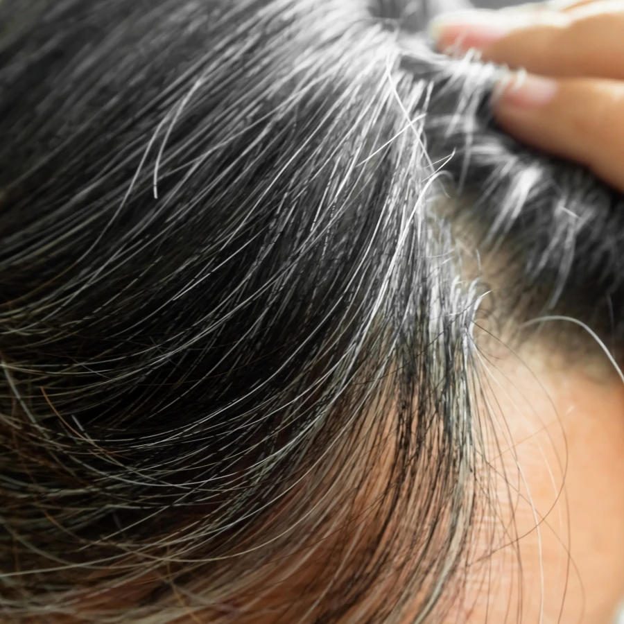 shutterstock_2499381627