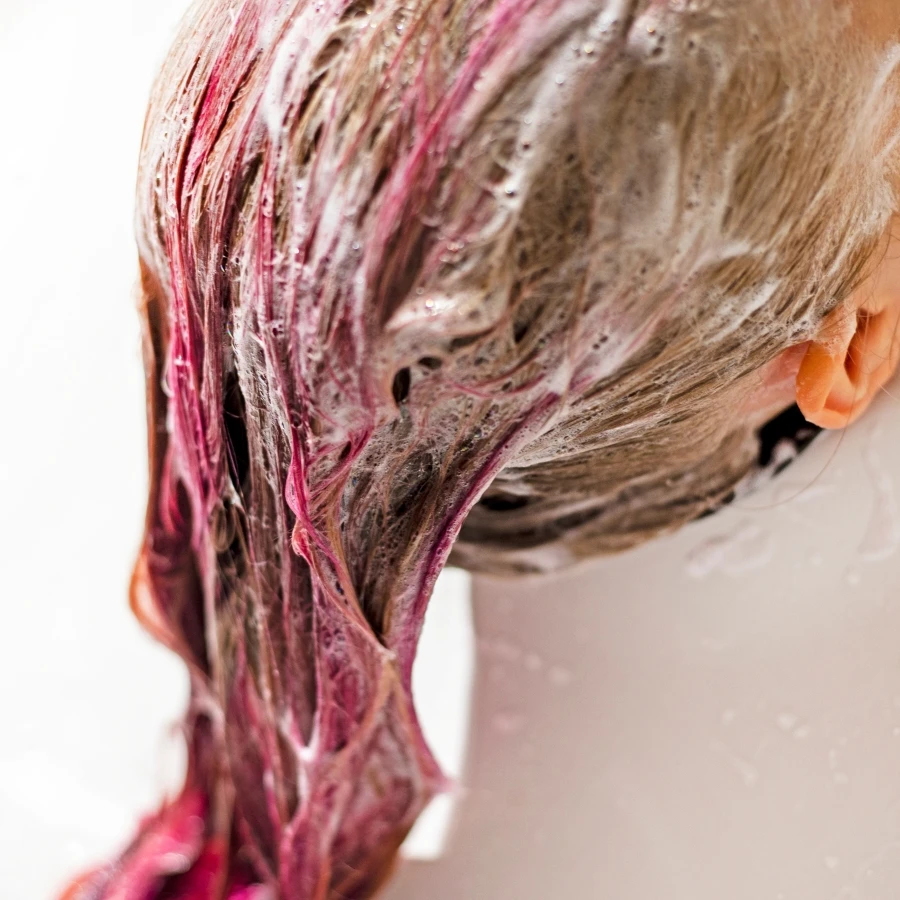 shutterstock_2498908773