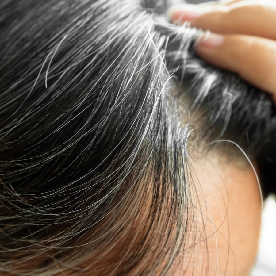 shutterstock_2499381627