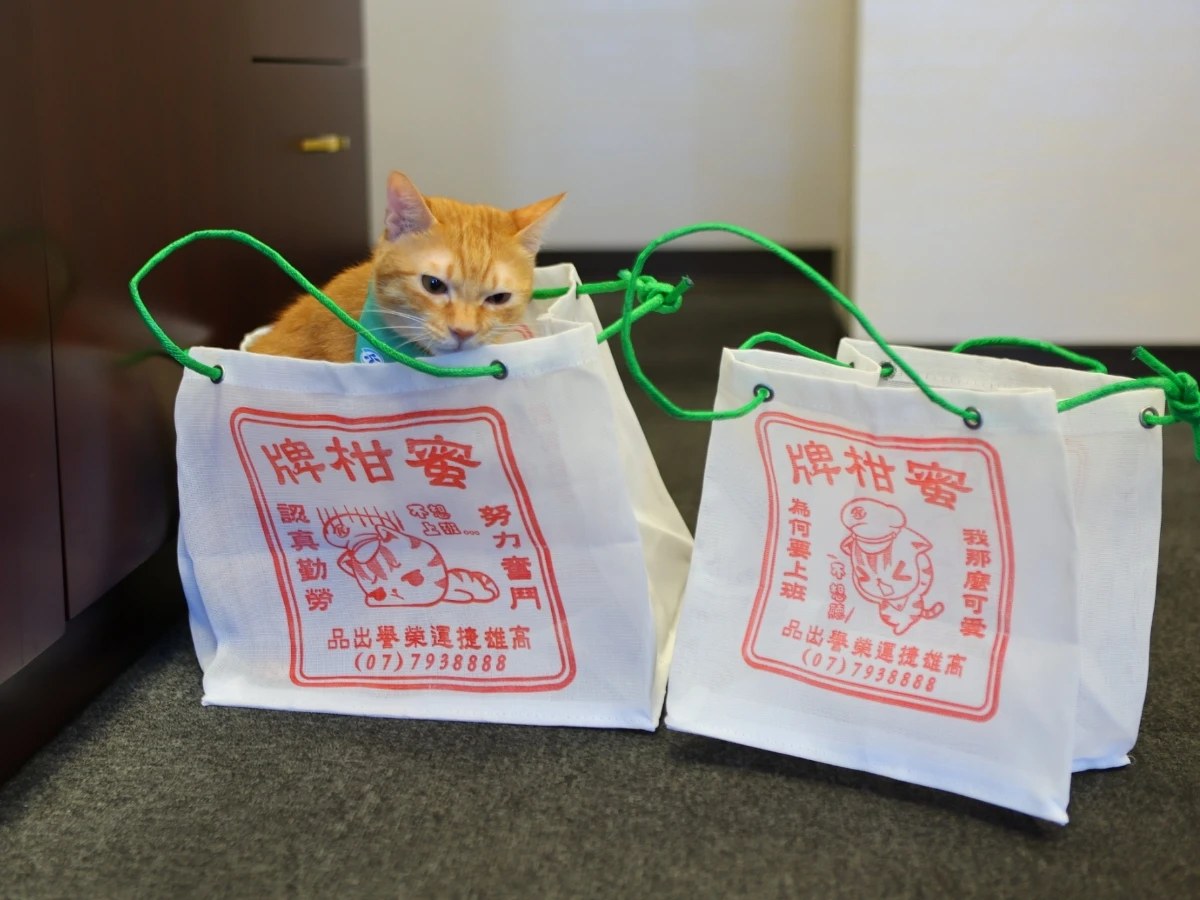 FotoJet - 2025-09-15T204925.926