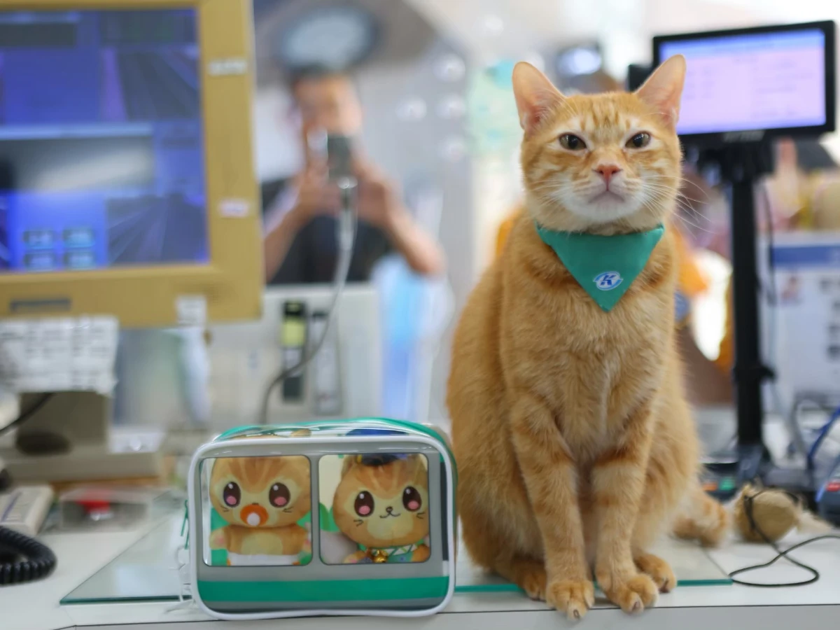 FotoJet - 2025-09-15T204857.033