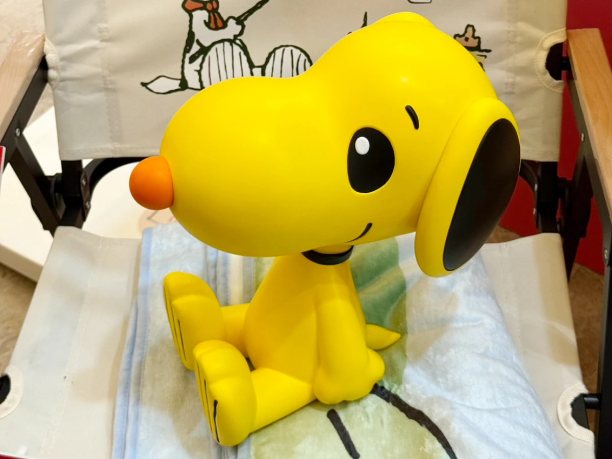 FotoJet - 2025-09-17T131837.338