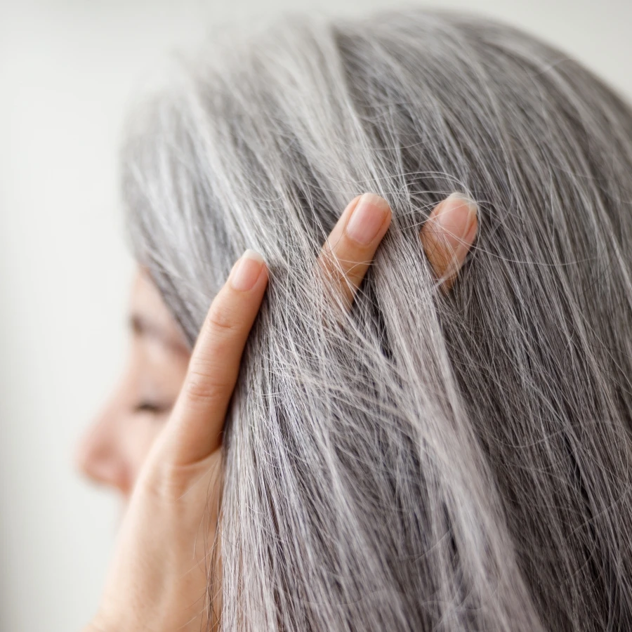 shutterstock_1846335319