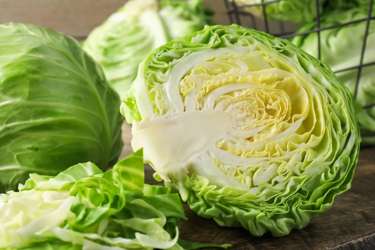 batch_shutterstock_2639246731