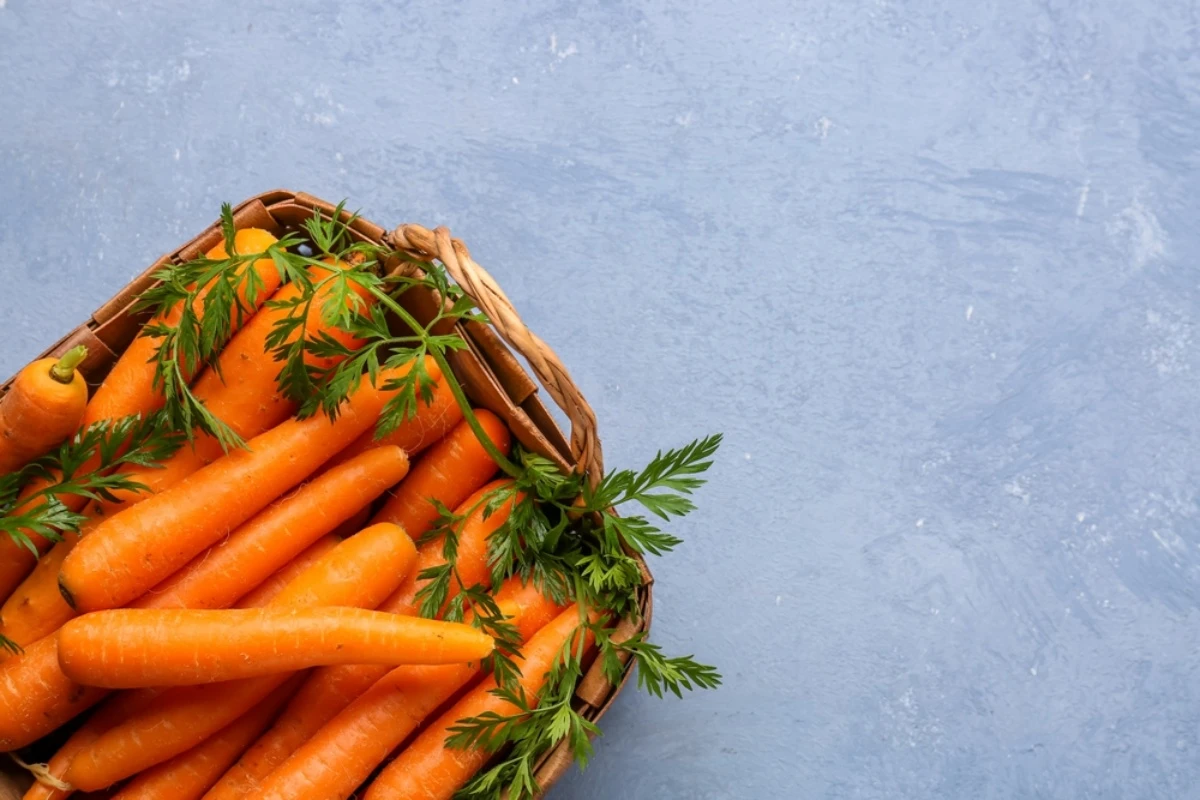 batch_shutterstock_2316684057