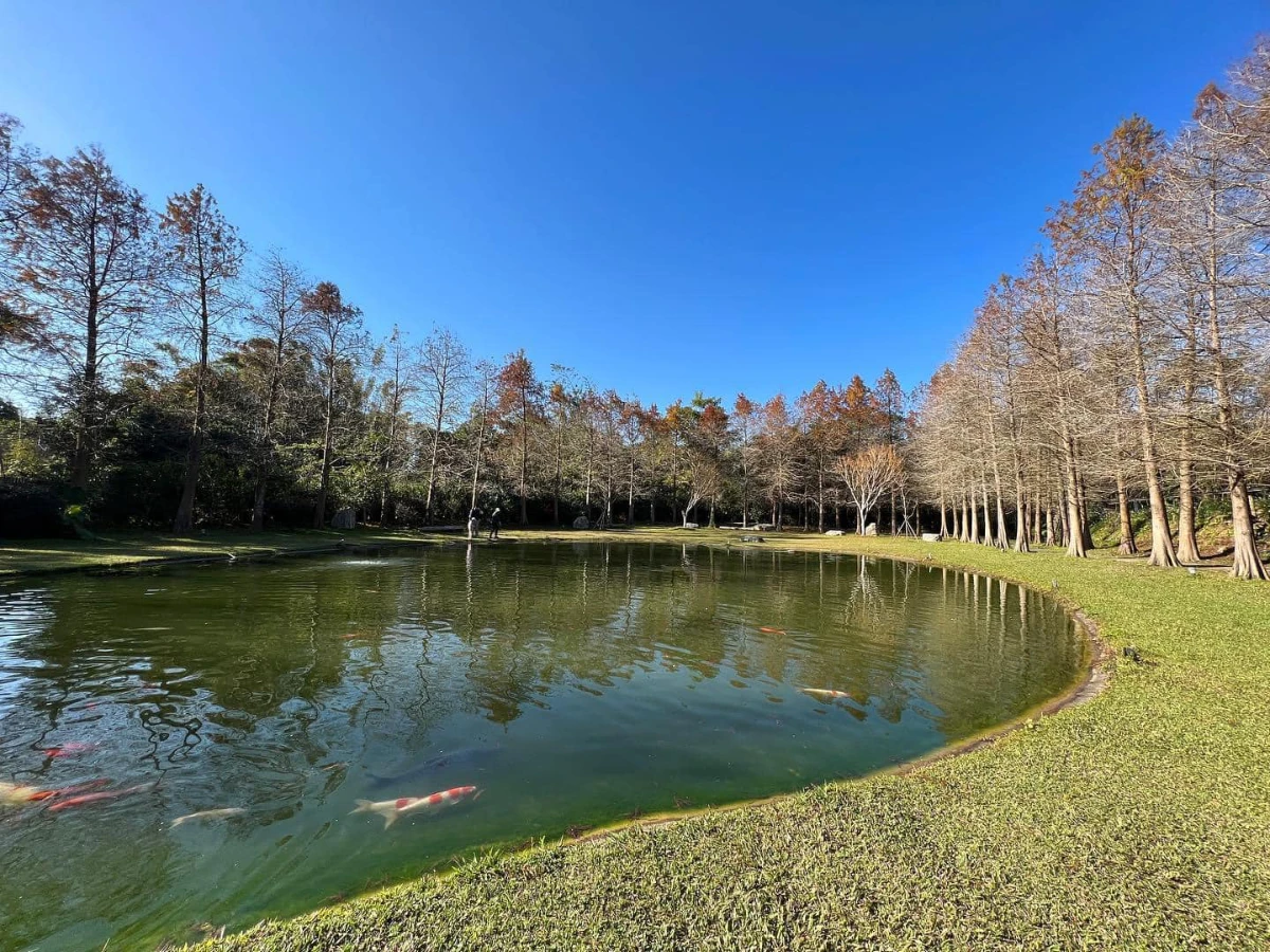 FotoJet - 2025-09-19T184703.339