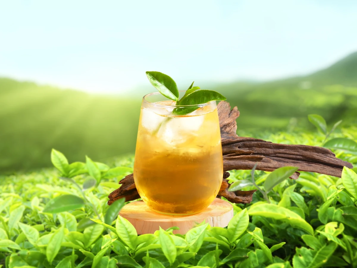 手搖飲料優惠 _5_