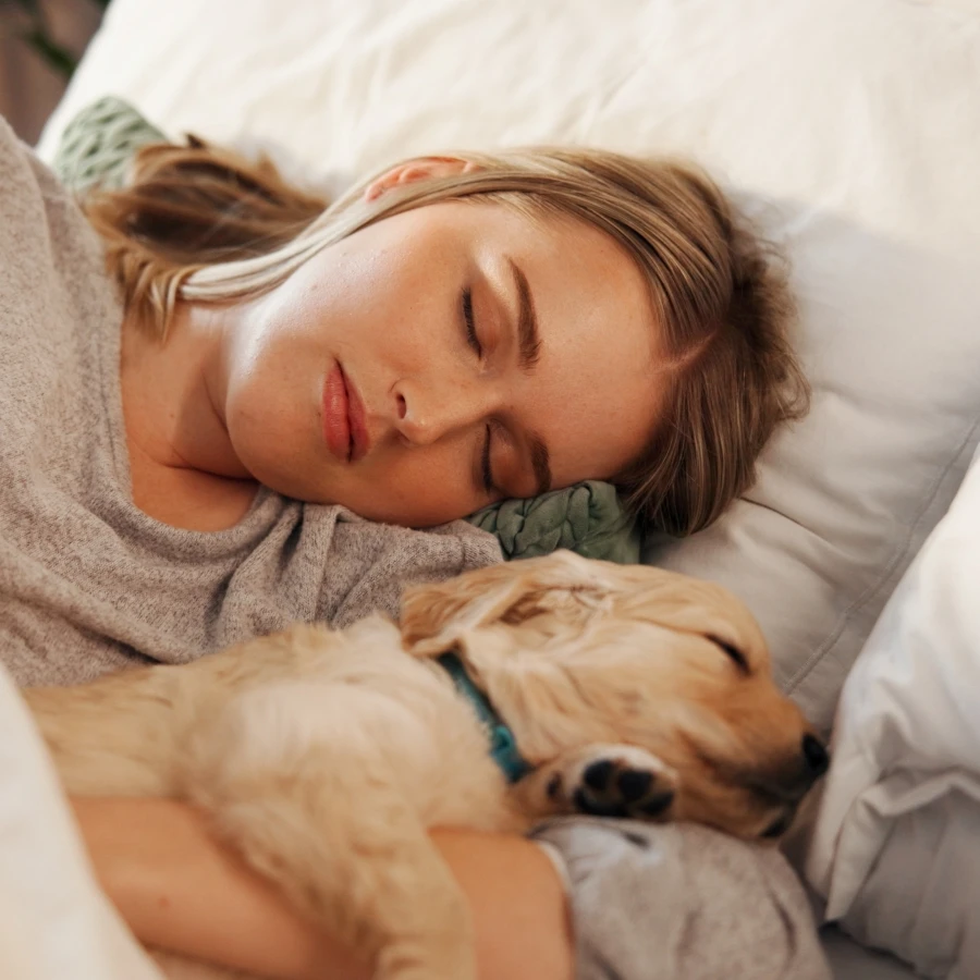 shutterstock_2656447221