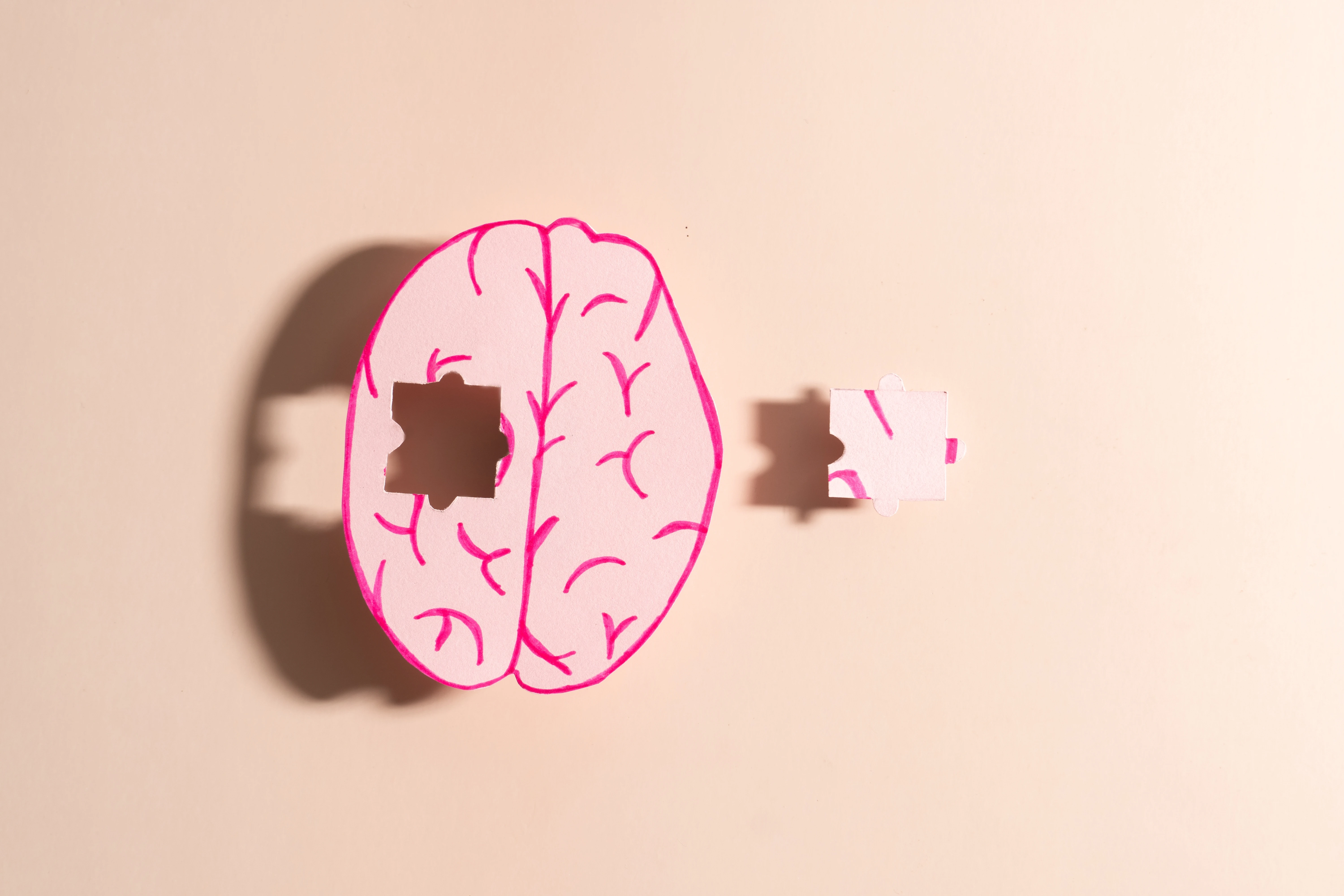 巴西莓好處：增強記憶力