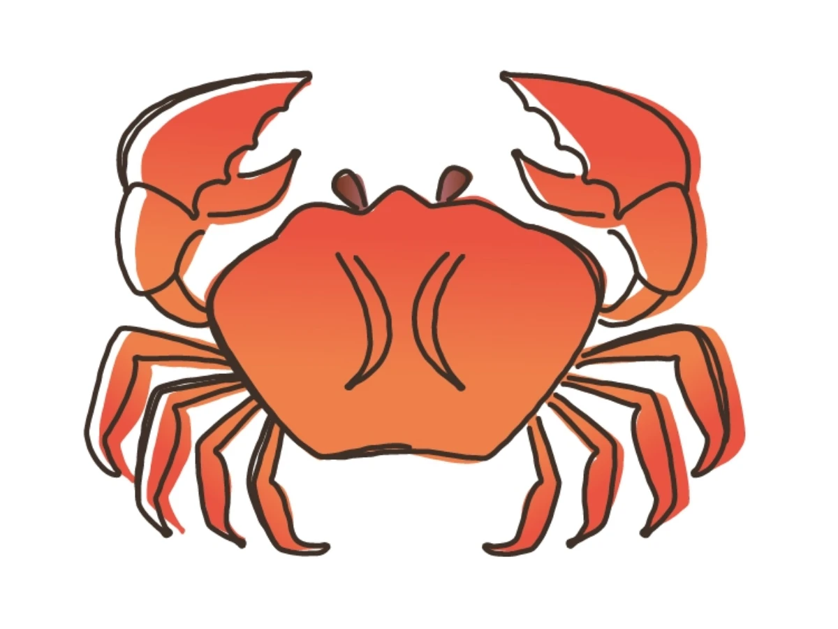 未來三個月12星座運勢4.巨蟹座