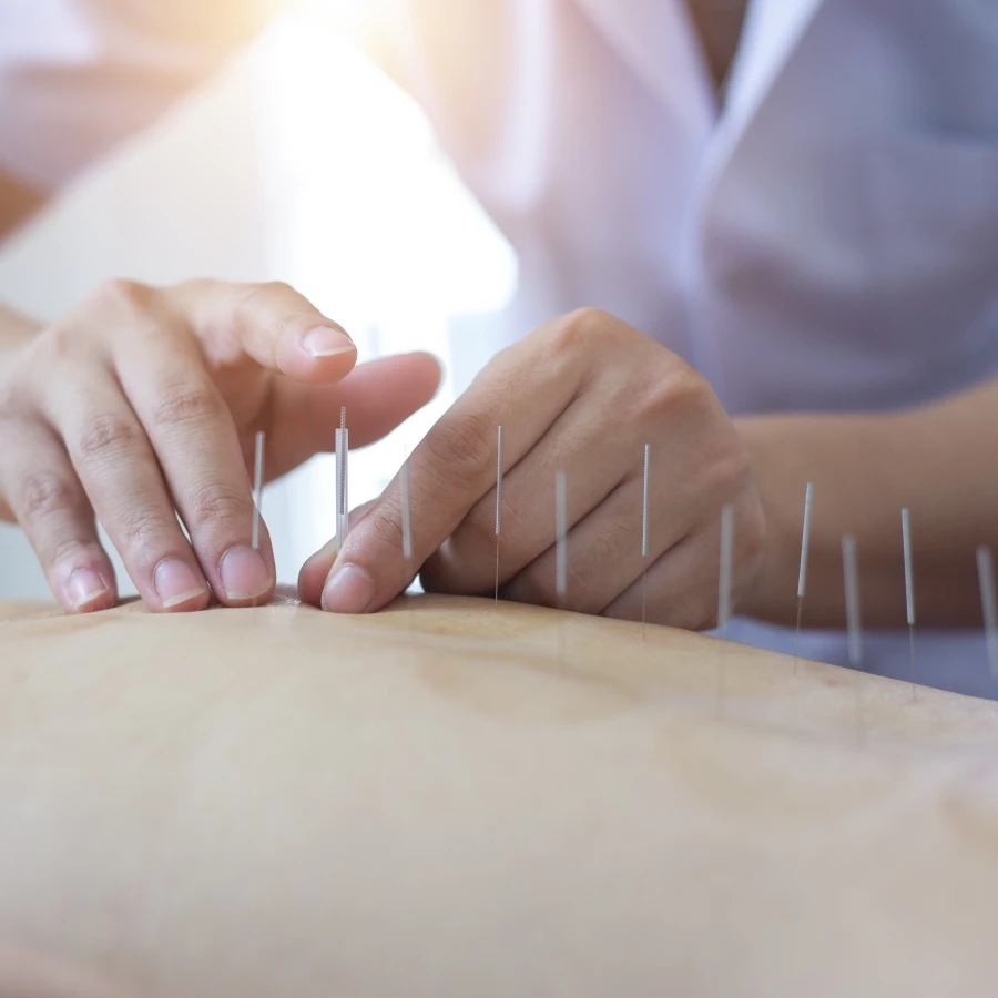 中醫減肥為什麼有效? 中醫減肥為什麼有效?