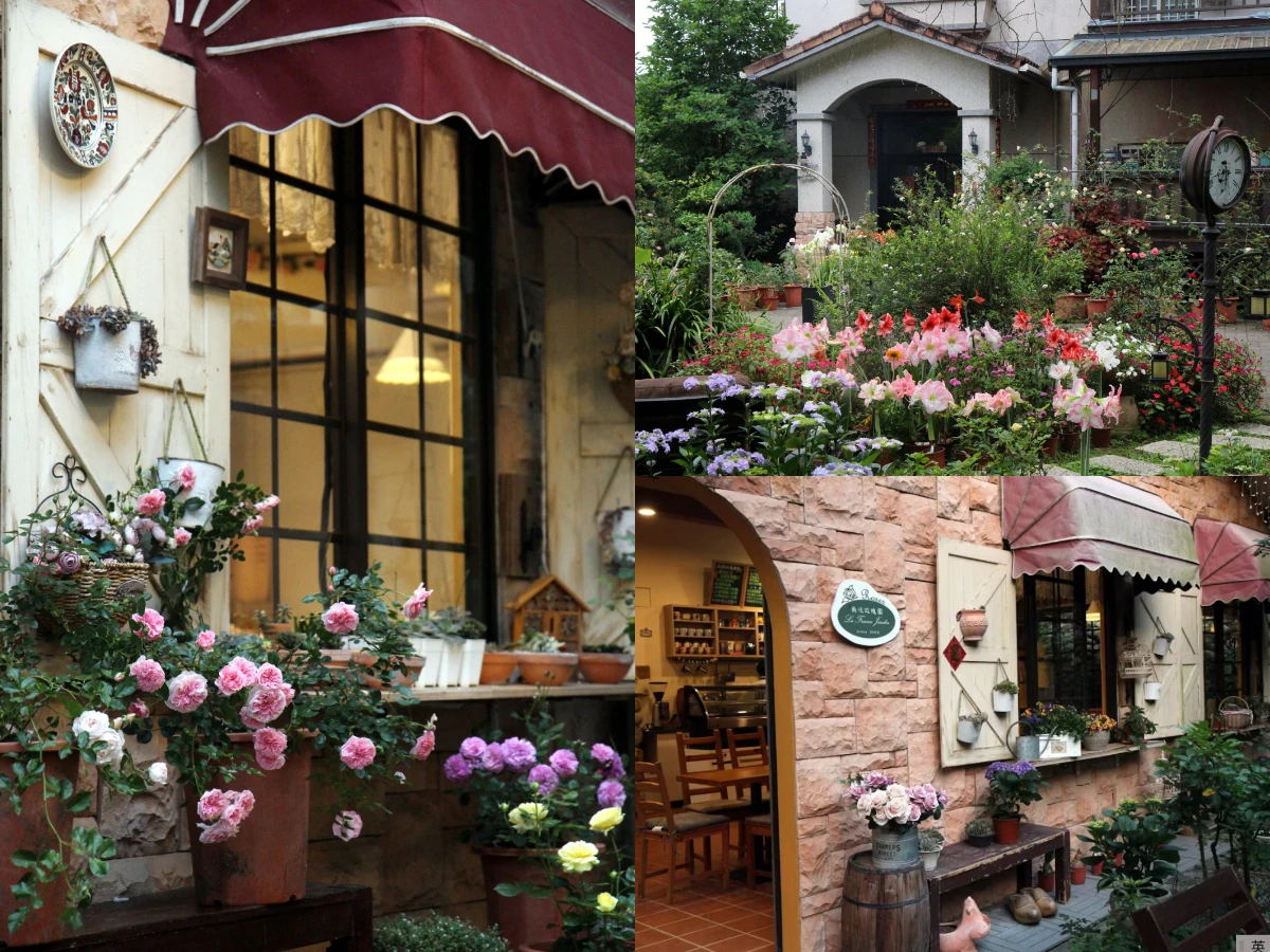 Emmie的南法玫瑰園