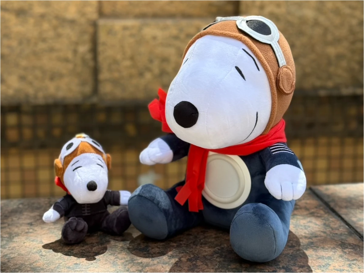 7-11集點:星宇航空X史努比 _8_