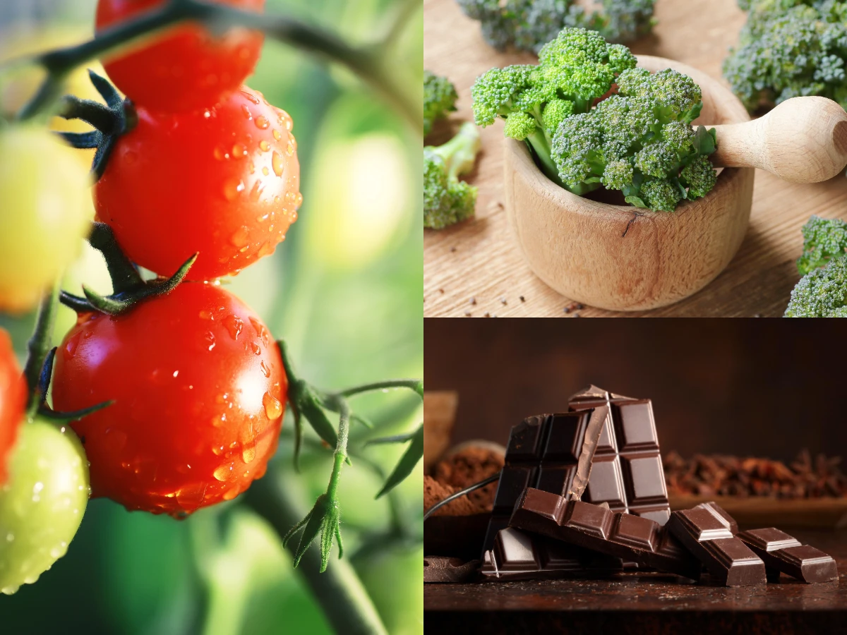 6.多吃10種長壽食物