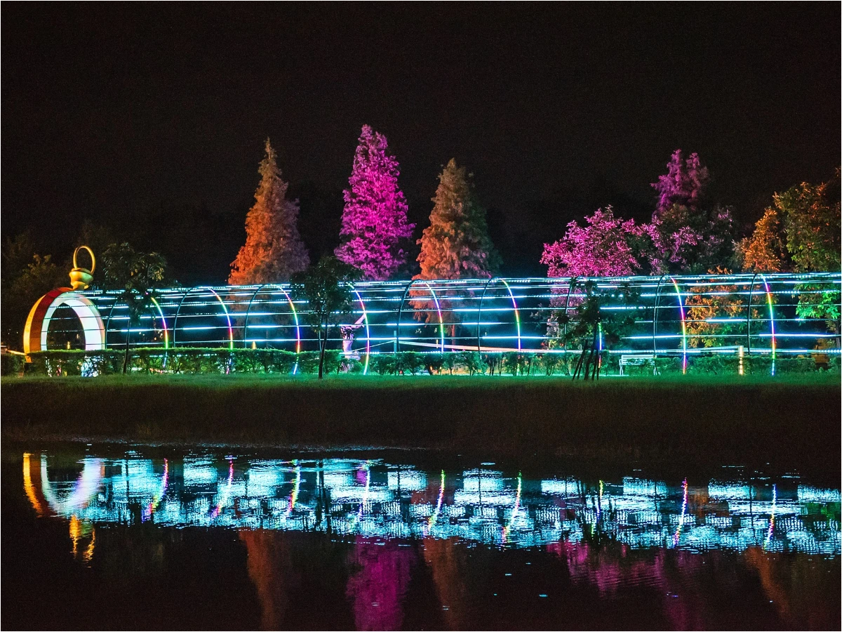 2025嘉義光影夢境《愛麗絲夢遊仙境》 _15_