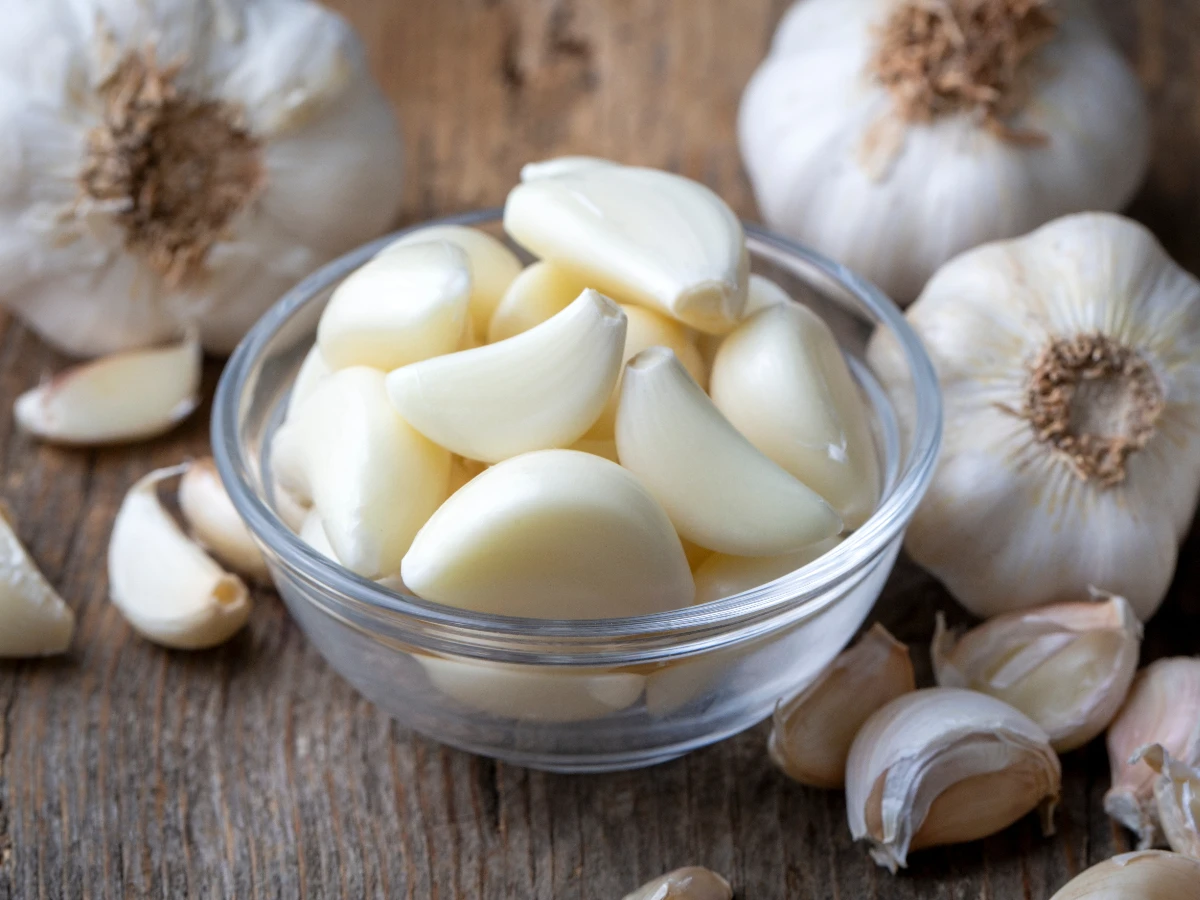 大蒜的氣味是保護機制 _1_