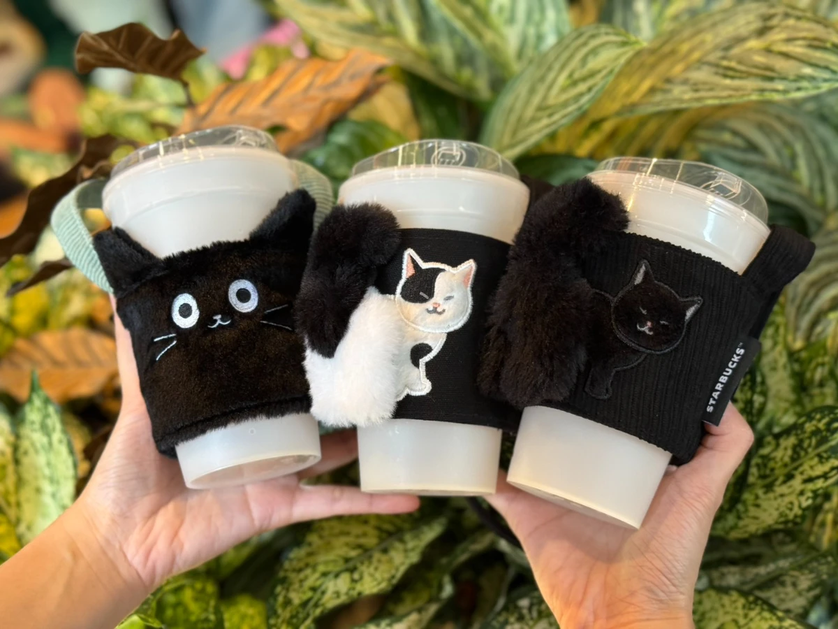 星巴克貓咪