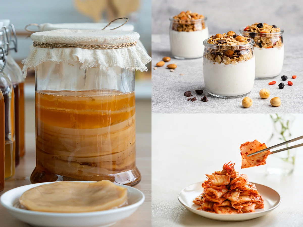 3. 調整腸道菌群