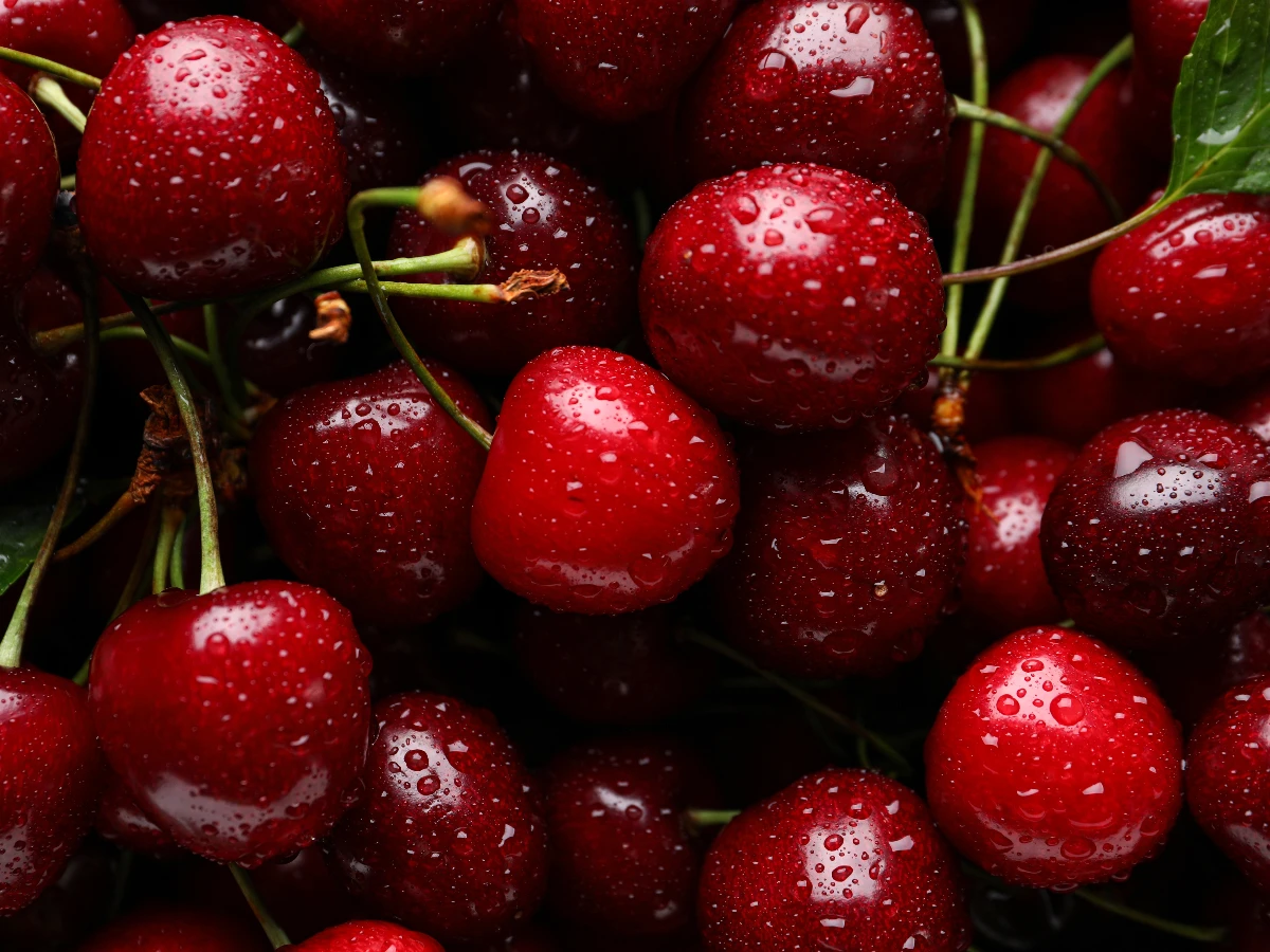 助眠水果3:櫻桃 每天喝2次多睡1.5小時