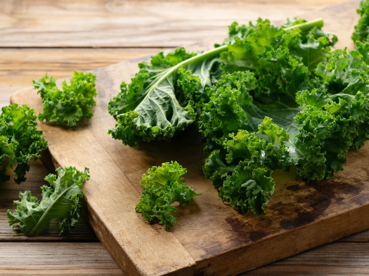 1.增多酚類飲食