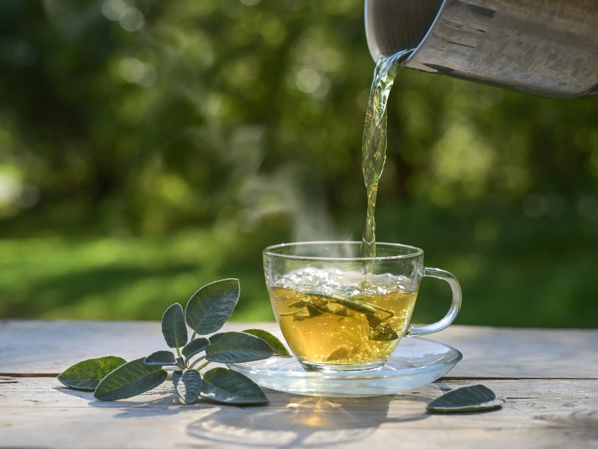地中海飲食「綠色」升級版 增添富含多酚食物