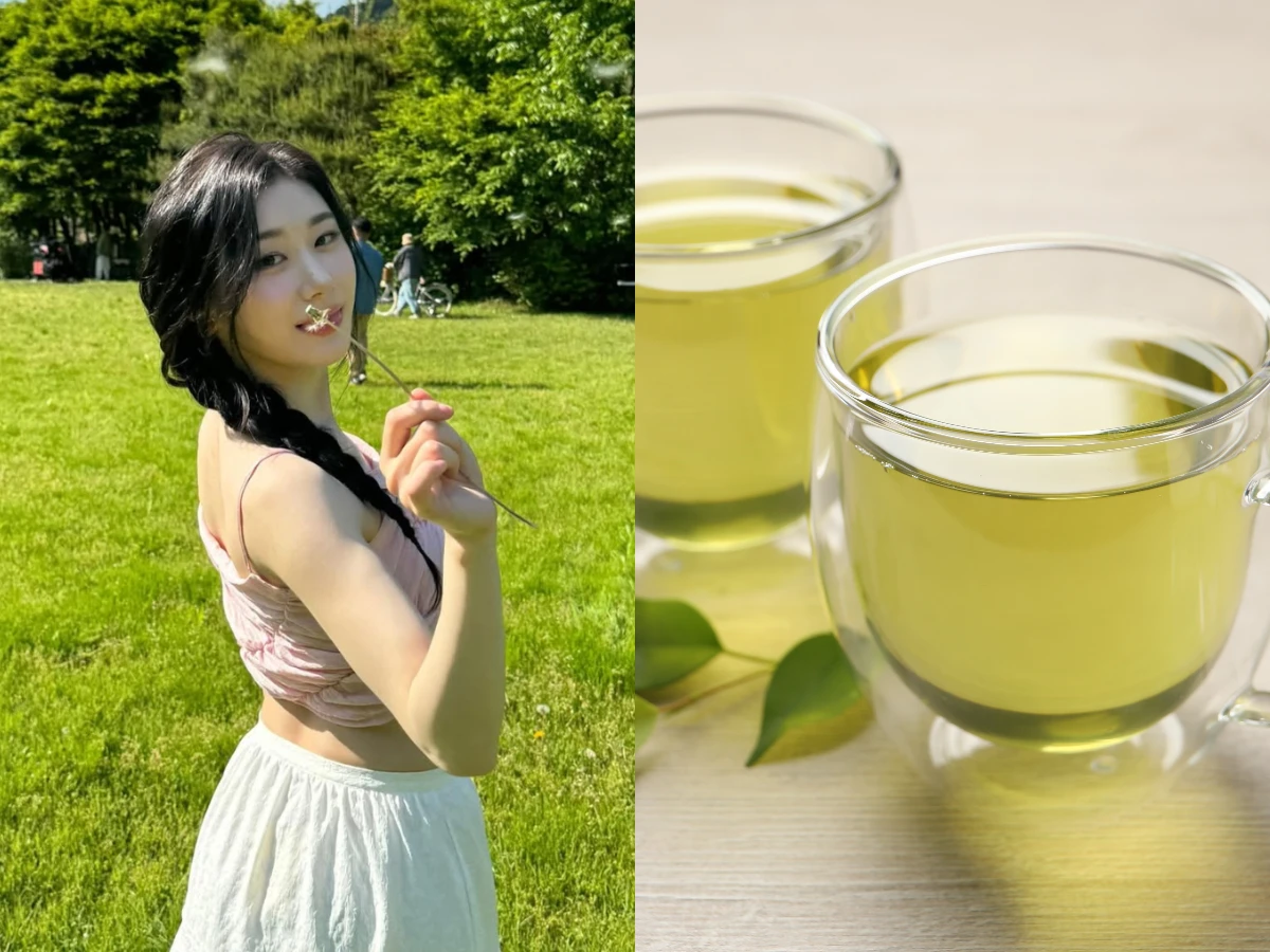別讓大腦加速老化!哈佛認證「綠色地中海飲食」,每天3步驟逆轉腦齡50%