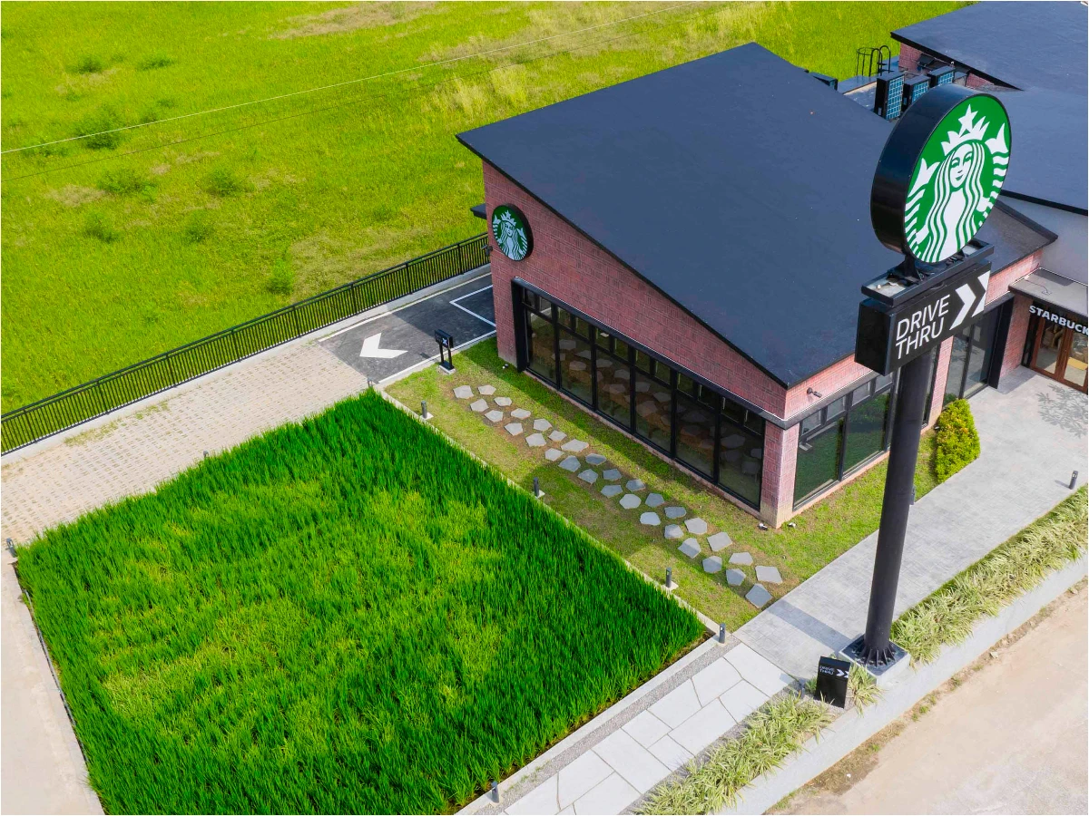 星巴克苗栗苑裡 _5_