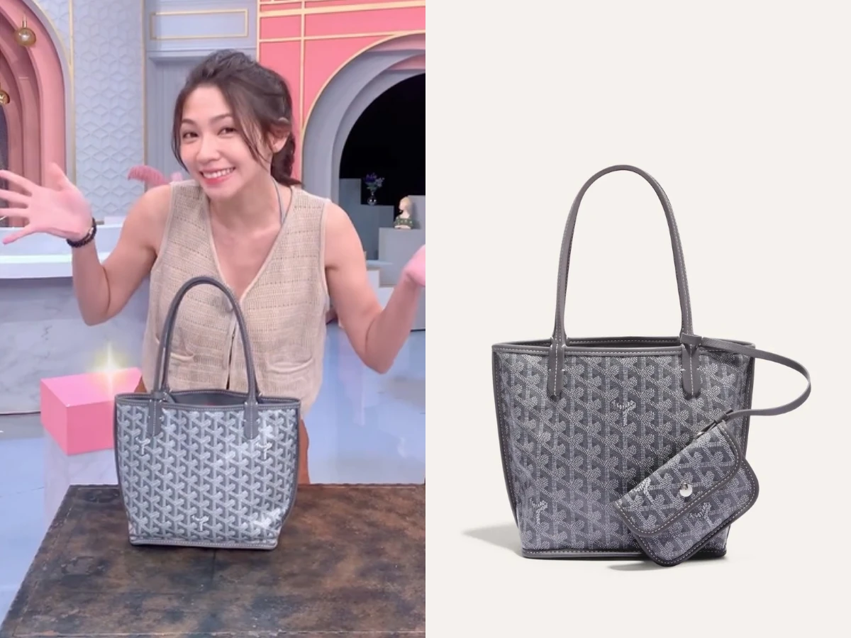 曾智希拿Goyard的Anjou Mini Bag