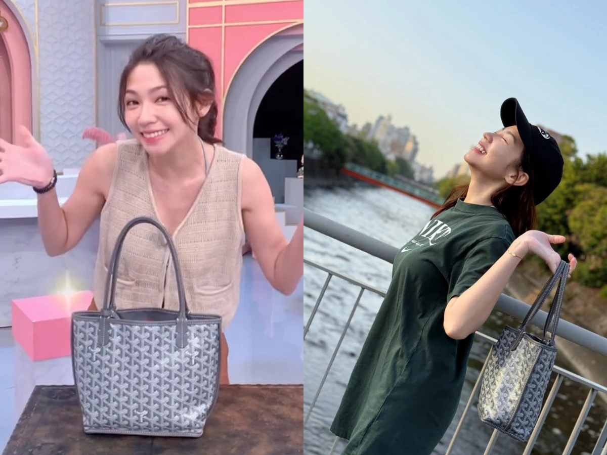 曾智希,Goyard
