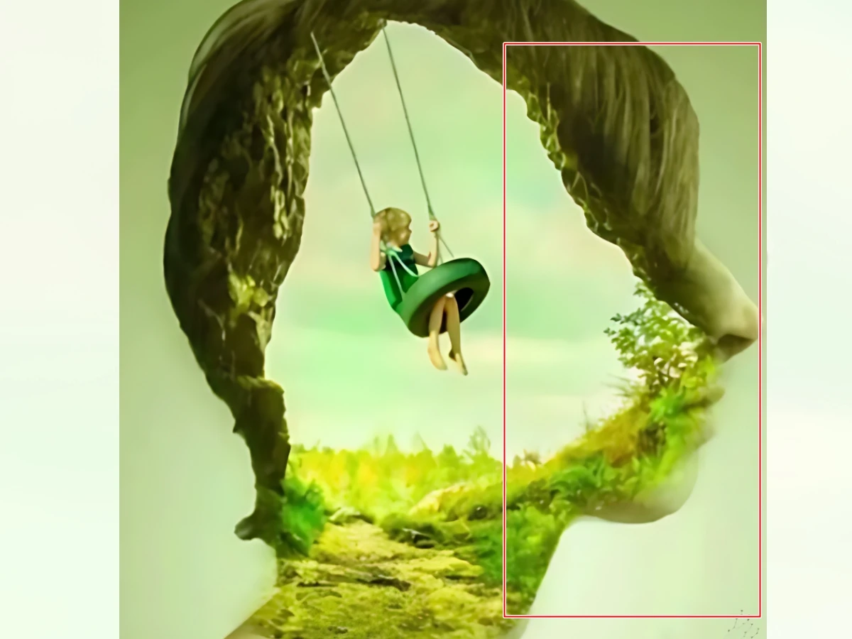 選擇B.一張人的側臉 選擇B.一張人的側臉