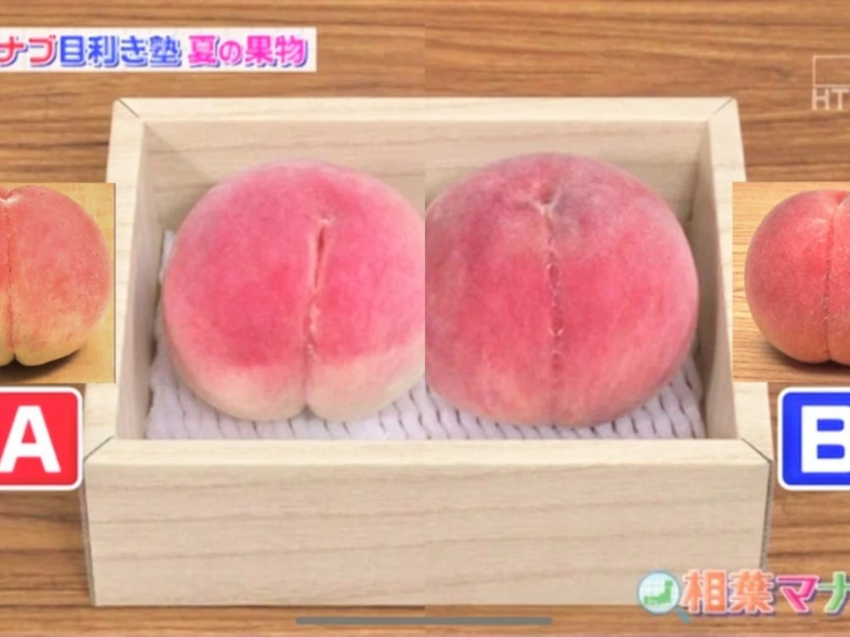 水蜜桃｜哪個較甜較多汁？ _1_