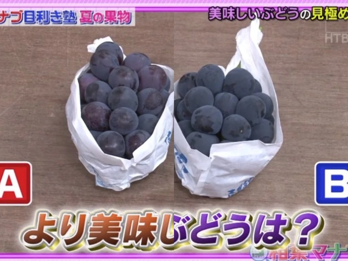 _巨峰葡萄｜哪份更多汁飽滿？