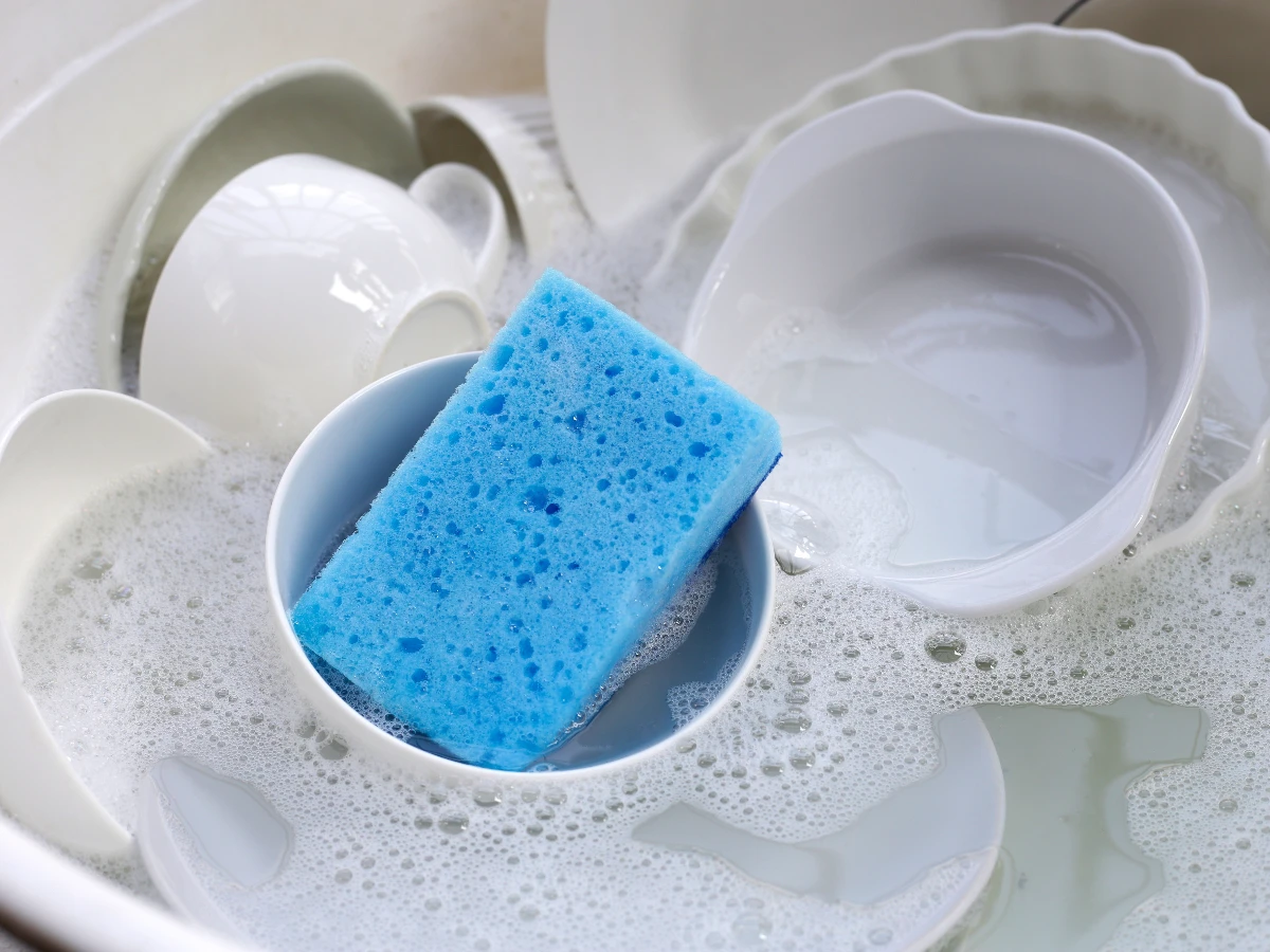 菜瓜布洗碗|1-2_菌或致食物中毒 3類人高危 菜瓜布洗碗|1-2_菌或致食物中毒 3類人高危