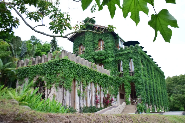 苗栗景觀餐廳推薦 _16_