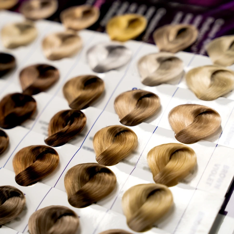 shutterstock_2626853491