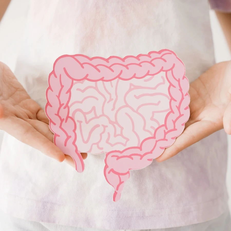 shutterstock_2458203617 shutterstock_2458203617