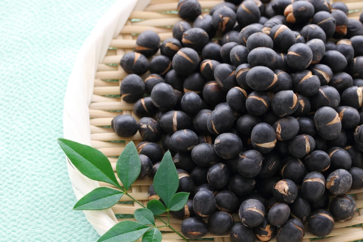 batch_shutterstock_792535465