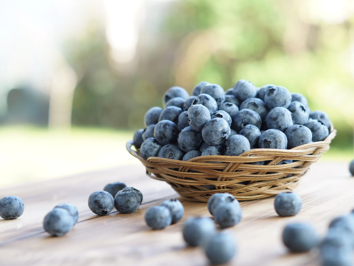 1.藍莓