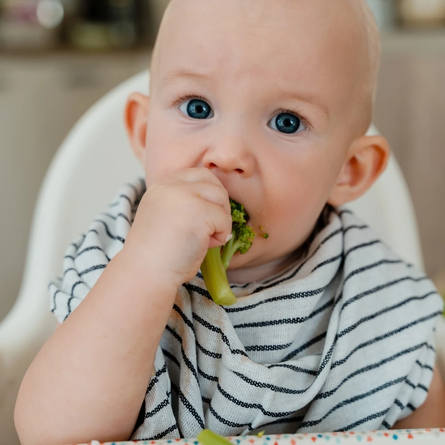 shutterstock_2669947427