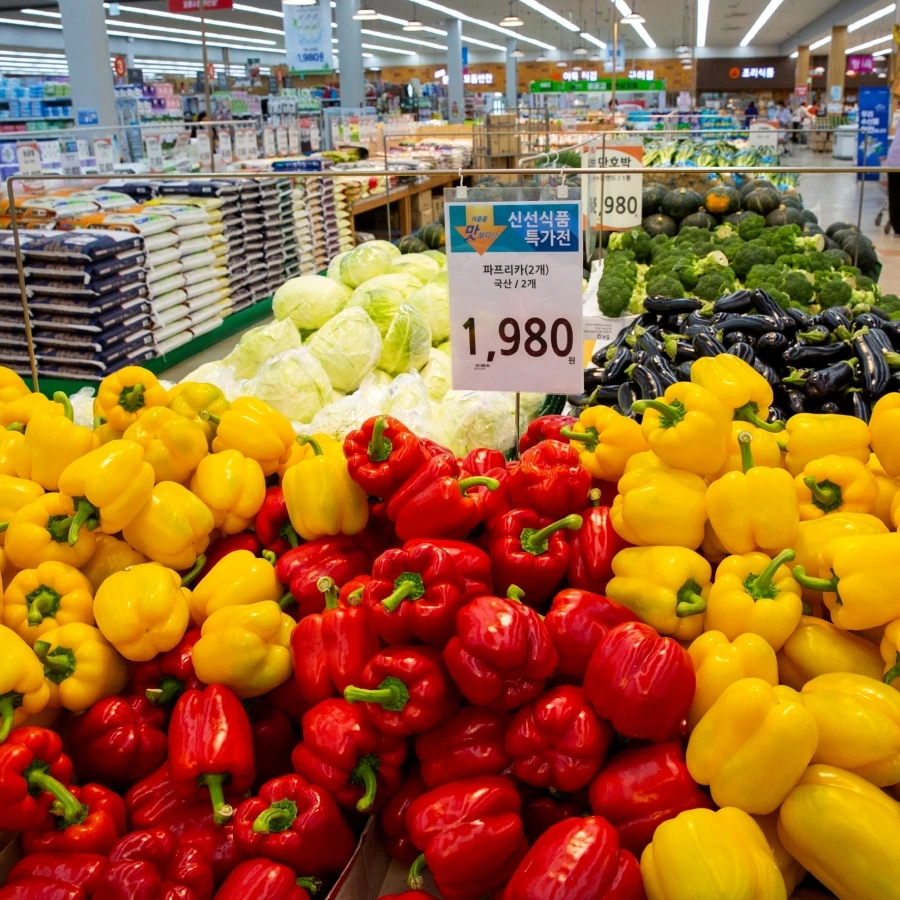 shutterstock_2642452205