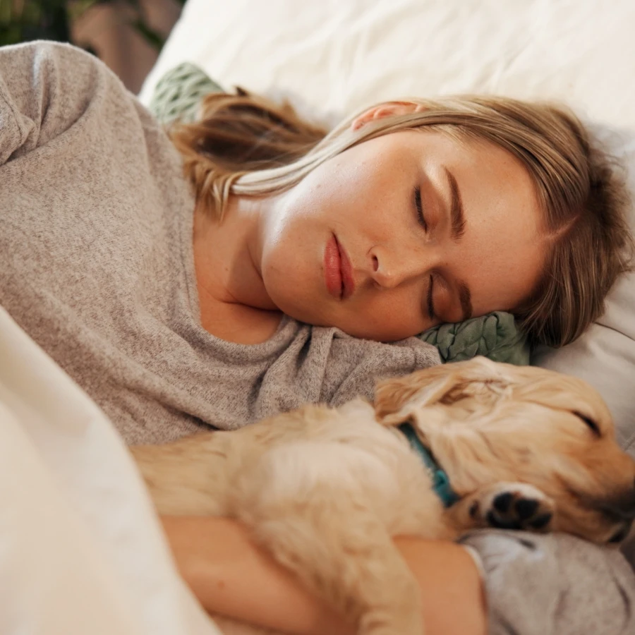 shutterstock_2656447221