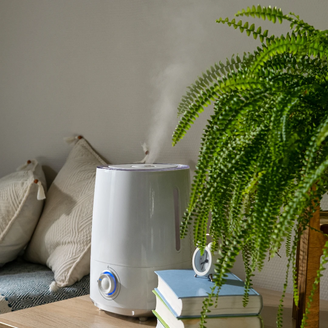 加濕器用錯恐誘發肺炎?醫師提醒:錯誤使用+未清潔容易滋生黴菌