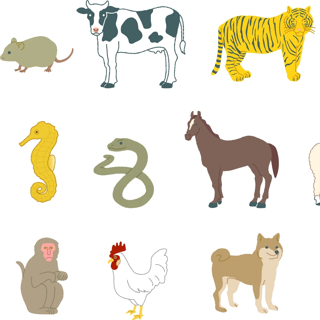 命運逆轉靠什麼？12 生肖個別特質公開：屬狗負責任，「這生肖」最會領導